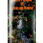 Portuguese College Entrance Guide Kindle Edition Study Aid 2024-0