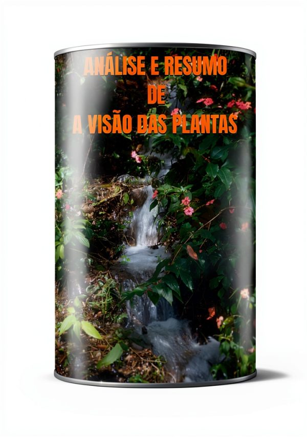 Portuguese College Entrance Guide Kindle Edition Study Aid 2024-0